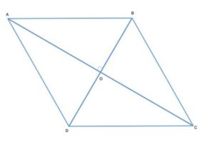 rhombus with diagonals