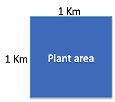 Plant area